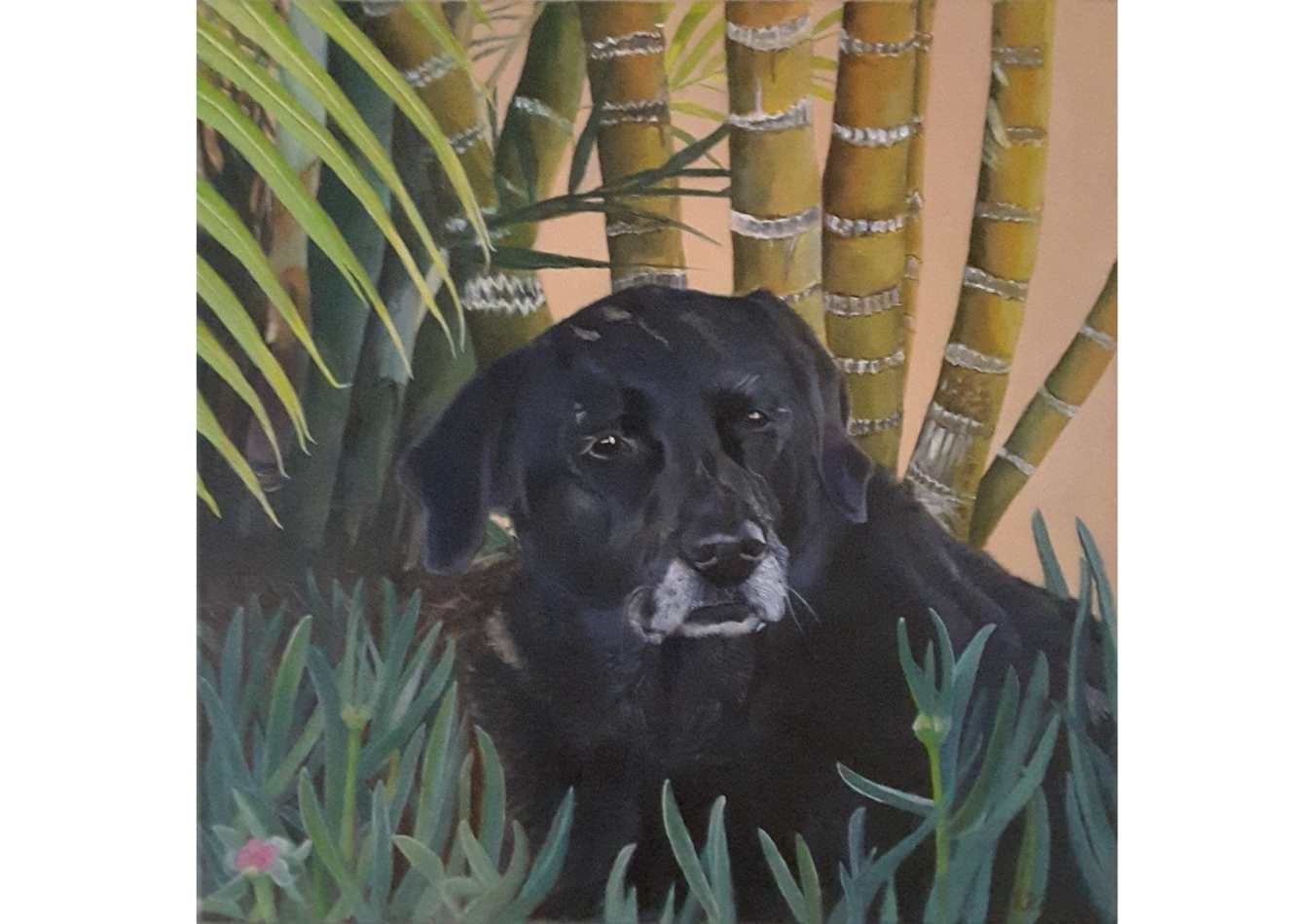 Schilderij Hond Amy