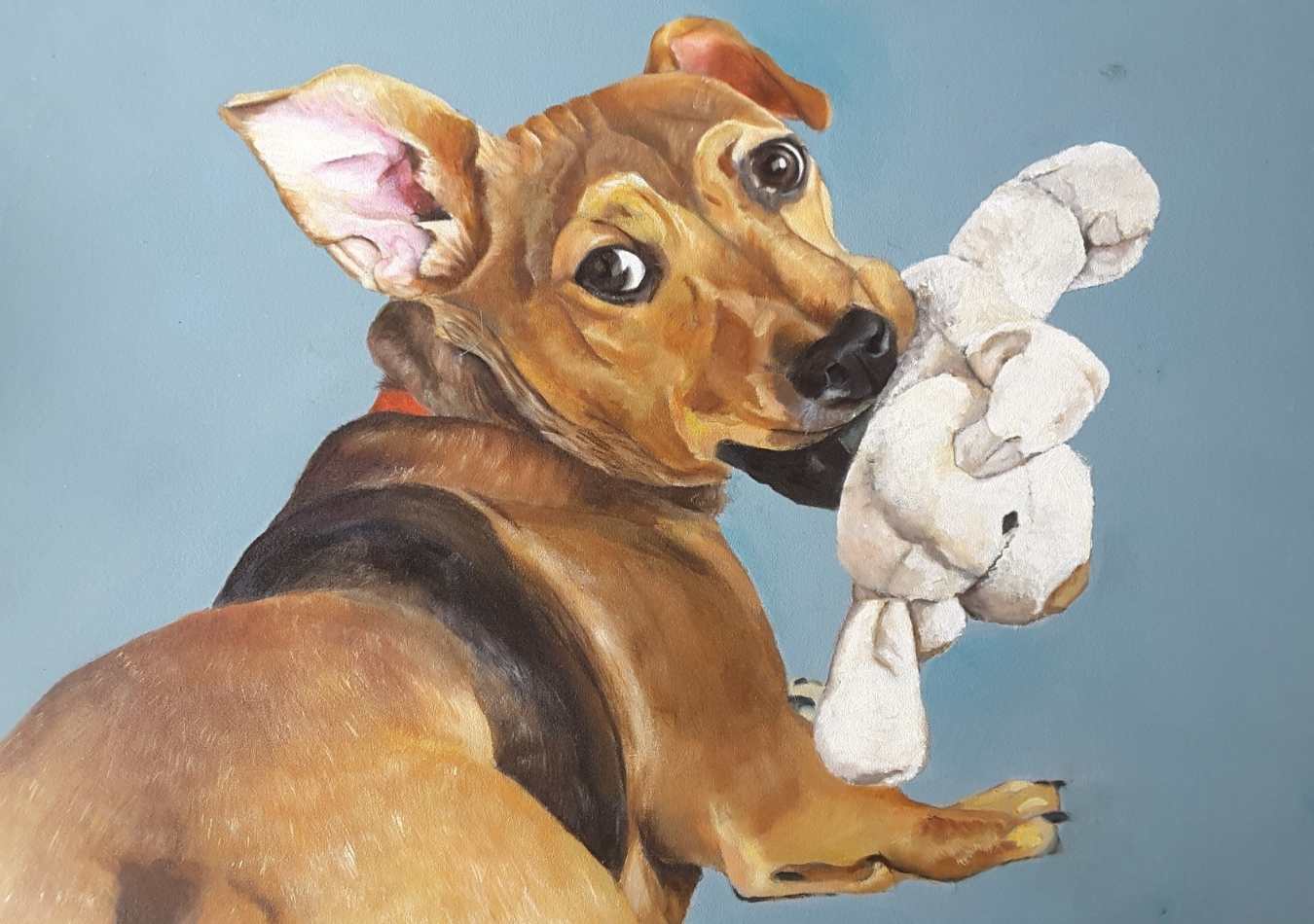 Schilderij Hond Puckie